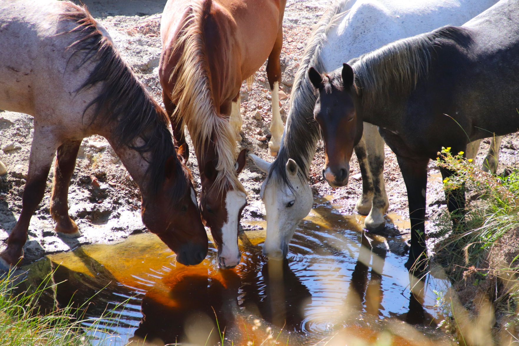 Thirsty